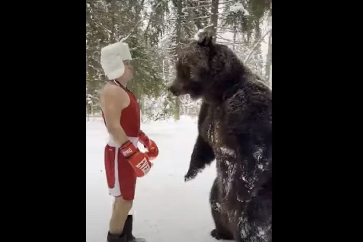 (VIDEO) U RUSIJI NIŠTA NOVO Bokser za sparing partnera izabrao medvjeda