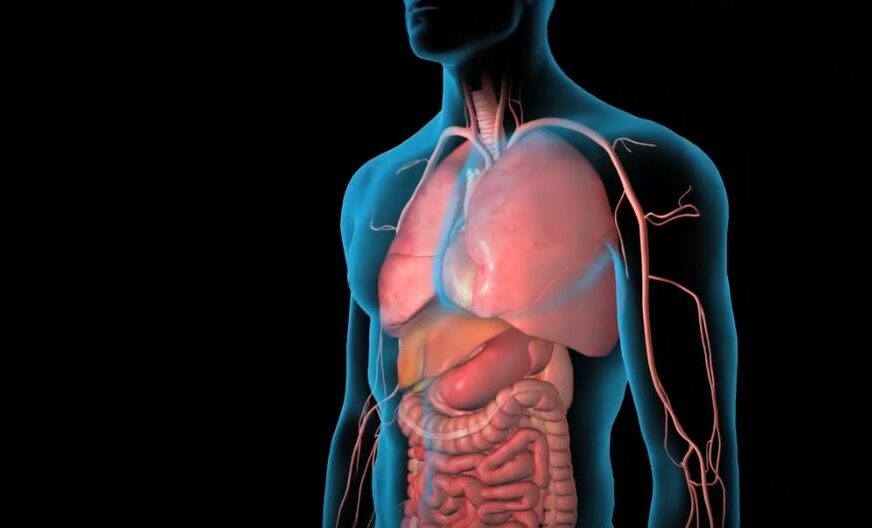 (VIDEO) “Ovo je veliki korak” Važna promjena u medicini, ljekari priznali “novi” ljudski organ